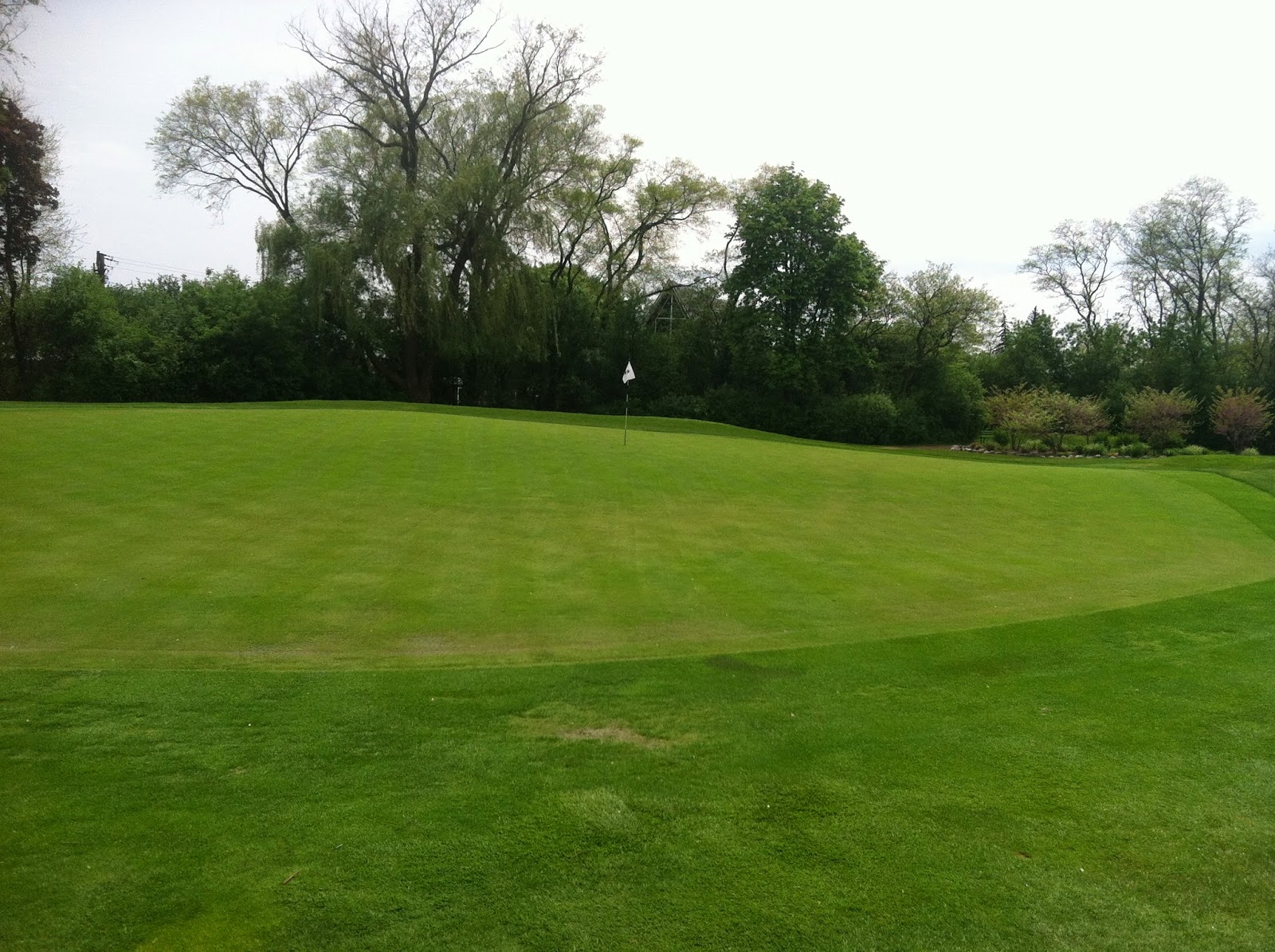 Ridgemoor Country Club Golf Course Maintenance: 17 Greens Open For Play!!