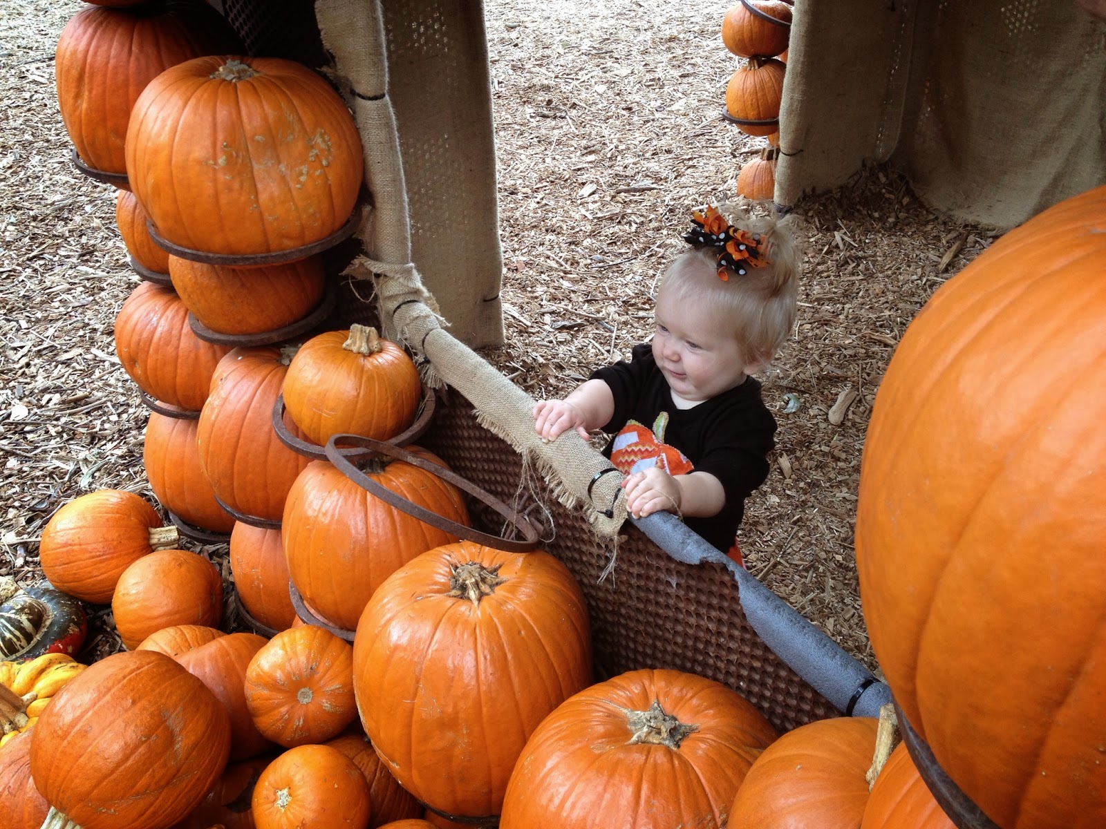 The Hopper House October 28th, 2013 Arboretum Visit 2