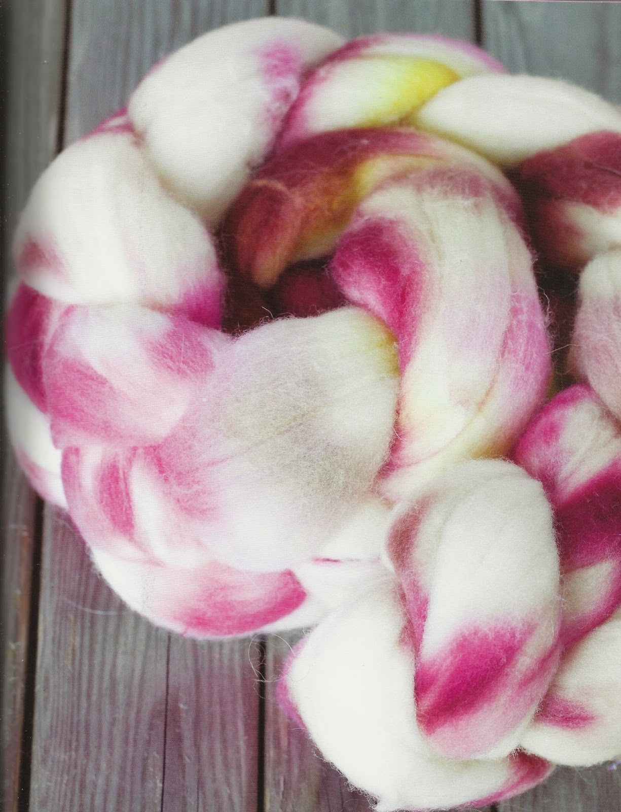 Bee and Buzz Book Review Spinning & Dyeing Yarn by Ashley Martineau