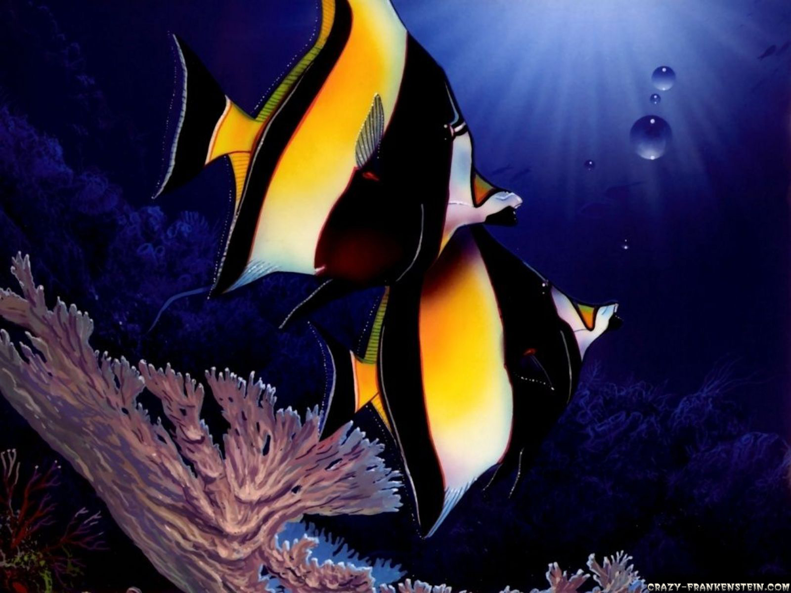 All new wallpaper : beautiful fish wallpaper