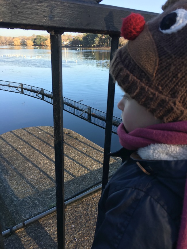 Our-weekly-journal--9th-Jan-2017-roath-park-looking-at-the-weir