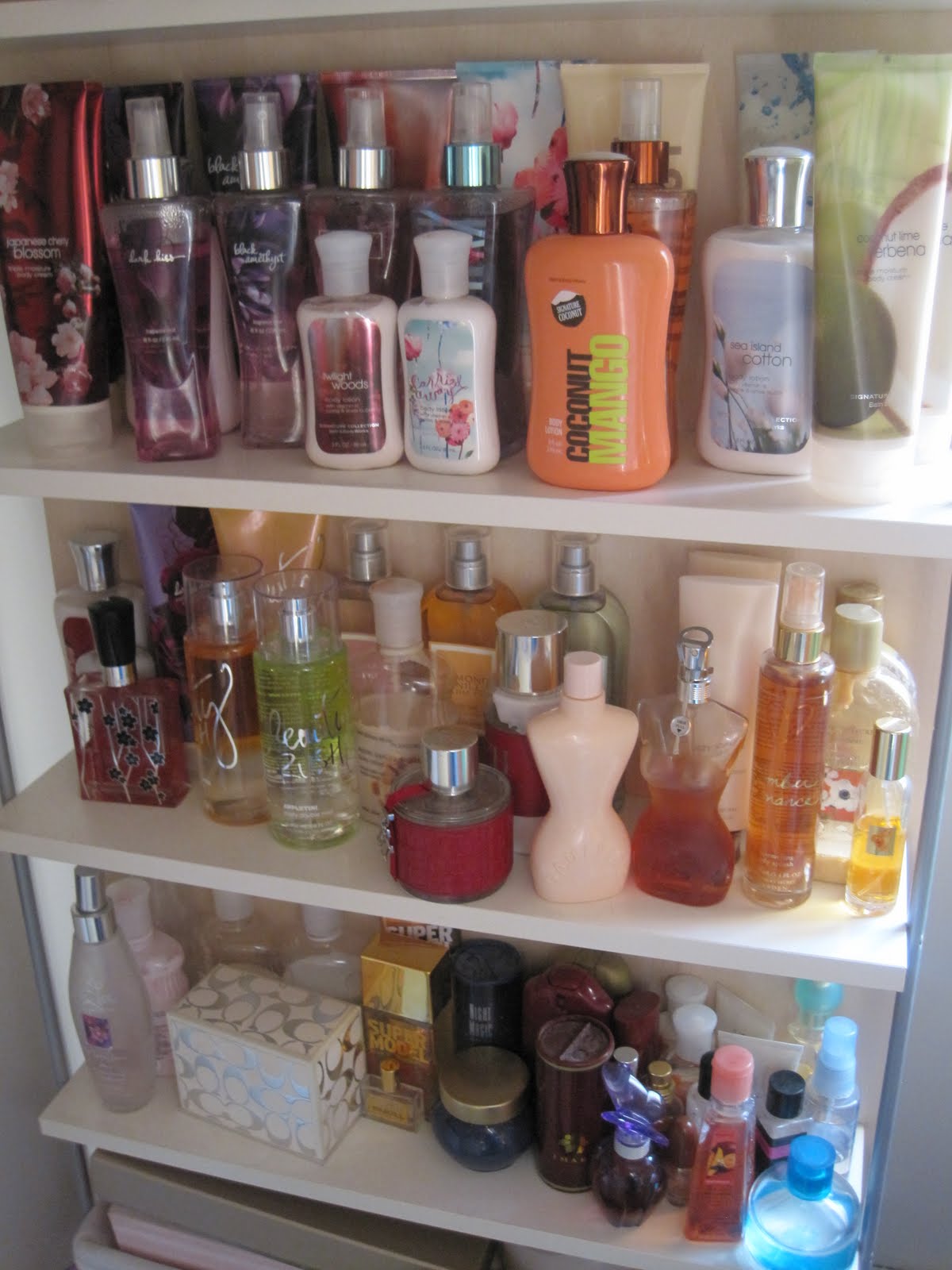 Missy's Style Watch Organizing Your Perfumes and Lotions into Your Own