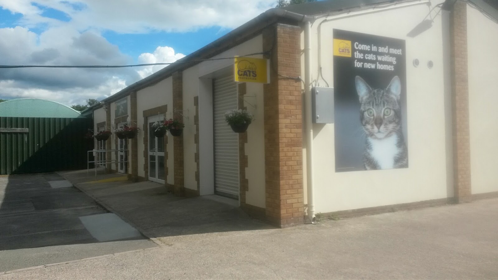 Cats Protection Exeter Uk Cats Protection Exeter Uk