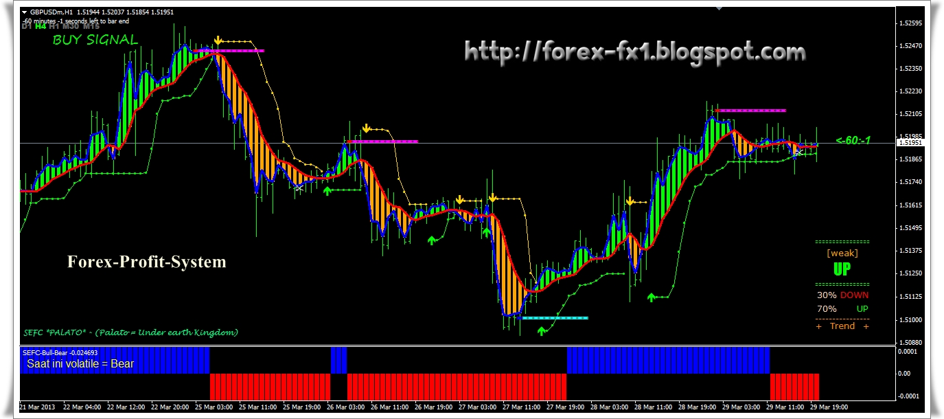Forex set and forget profit system