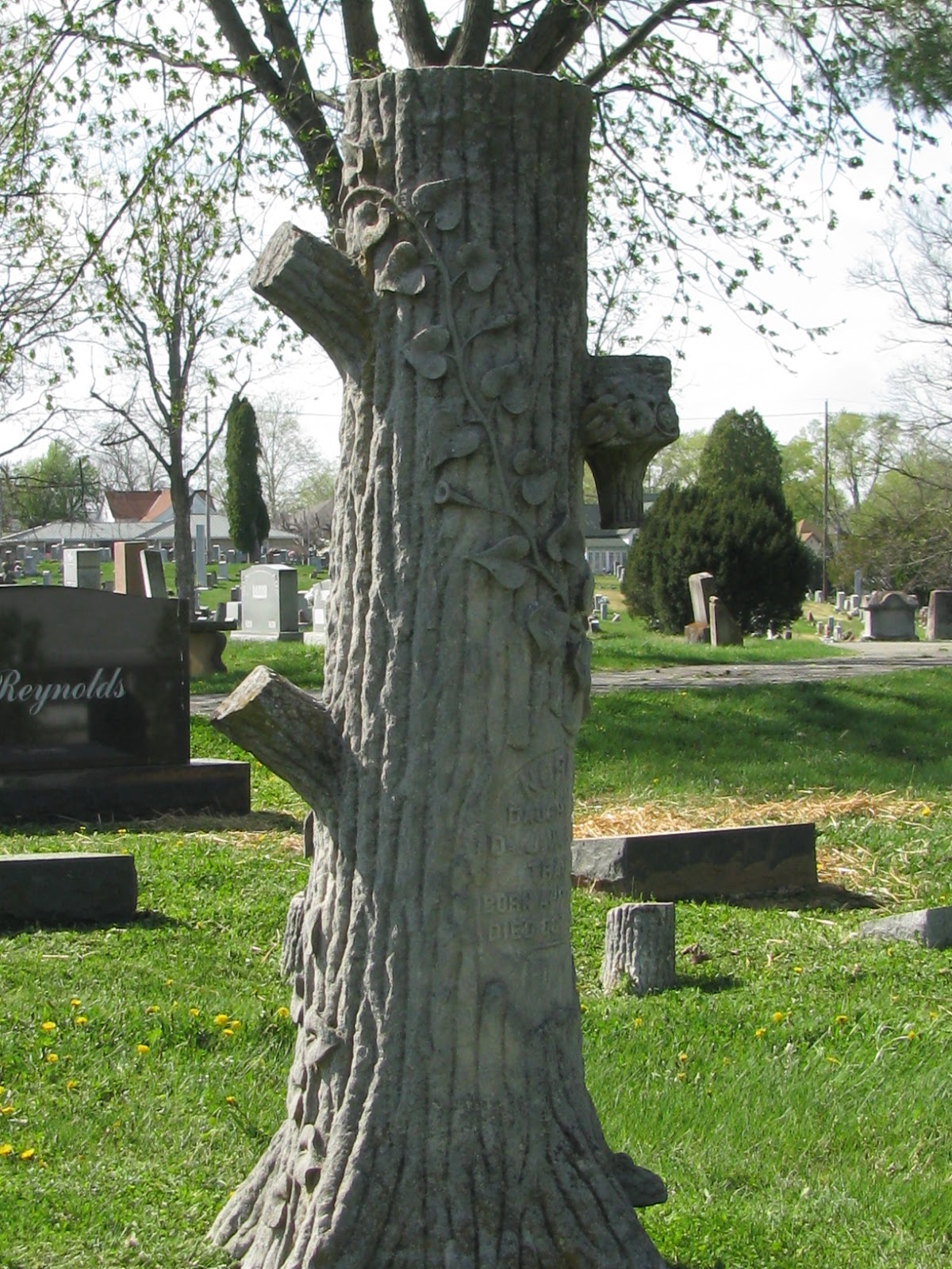 A Grave Interest Those Amazing Tree Stones