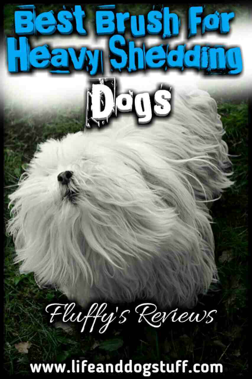 best brush for heavy shedding dog