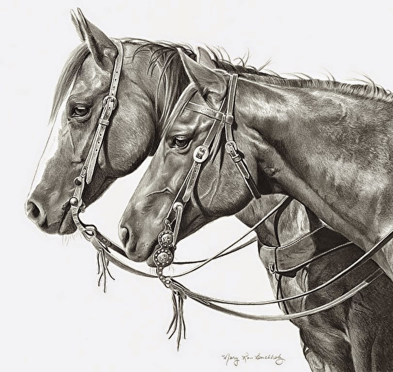 caballos-en-dibujos-realistas