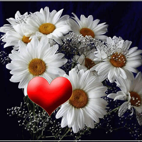 Love.gif