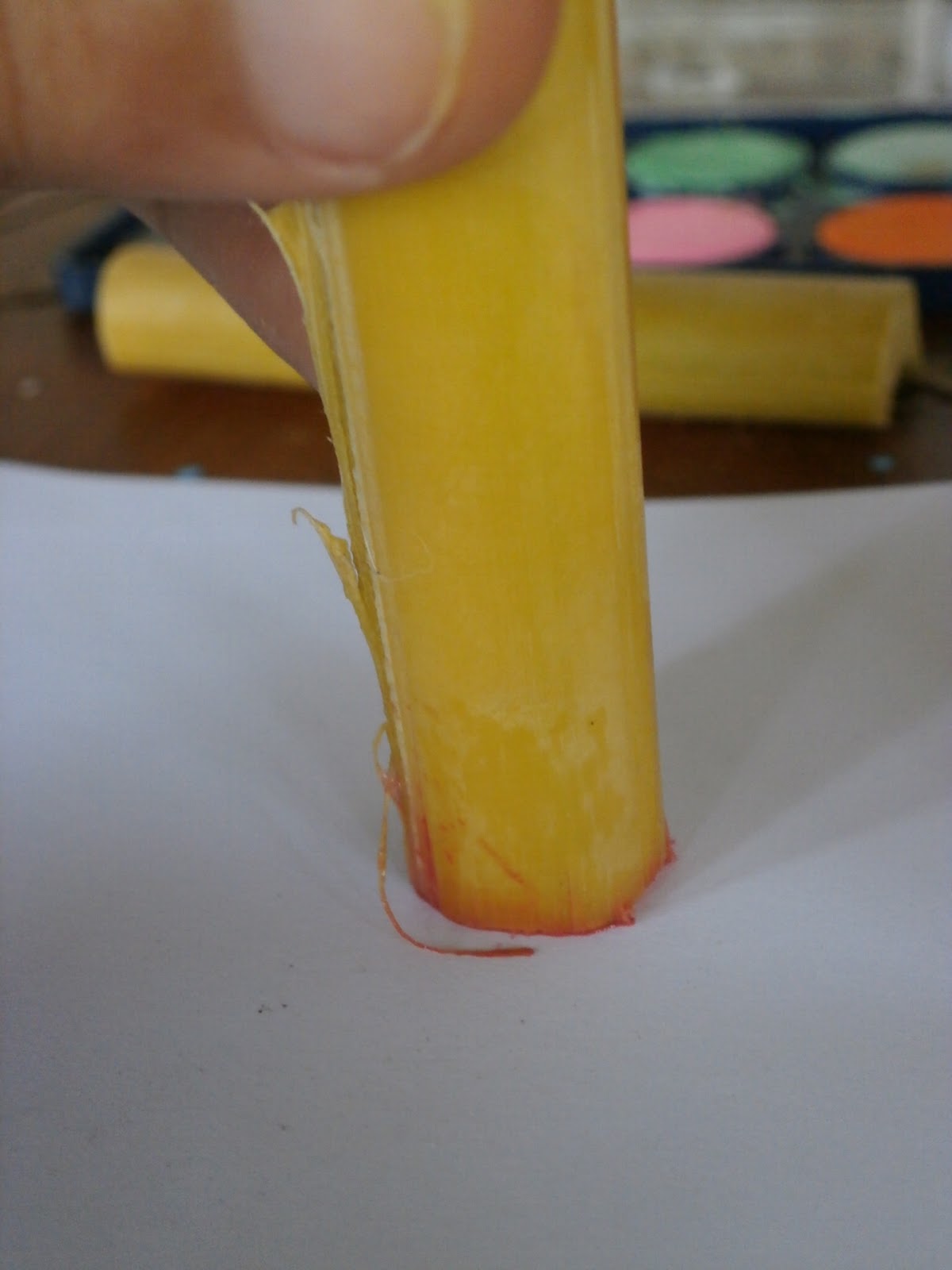 imaginen-nen-banana-stalk-flower-stamp