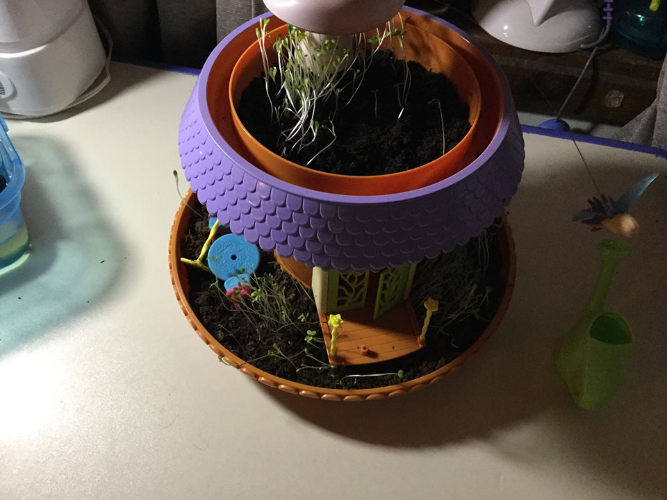 my fairy garden toys r us