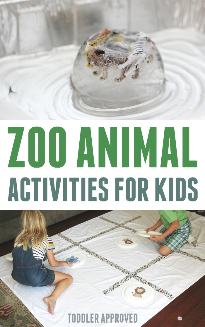 Zoo animals games