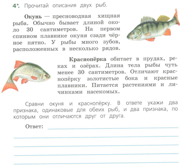по этому. разбиение графа. прочитай описание двух рыб. прочитай описания и нарисуй рёбра графов 18. прочитай описание и нарисуй ребра графов каждый из.