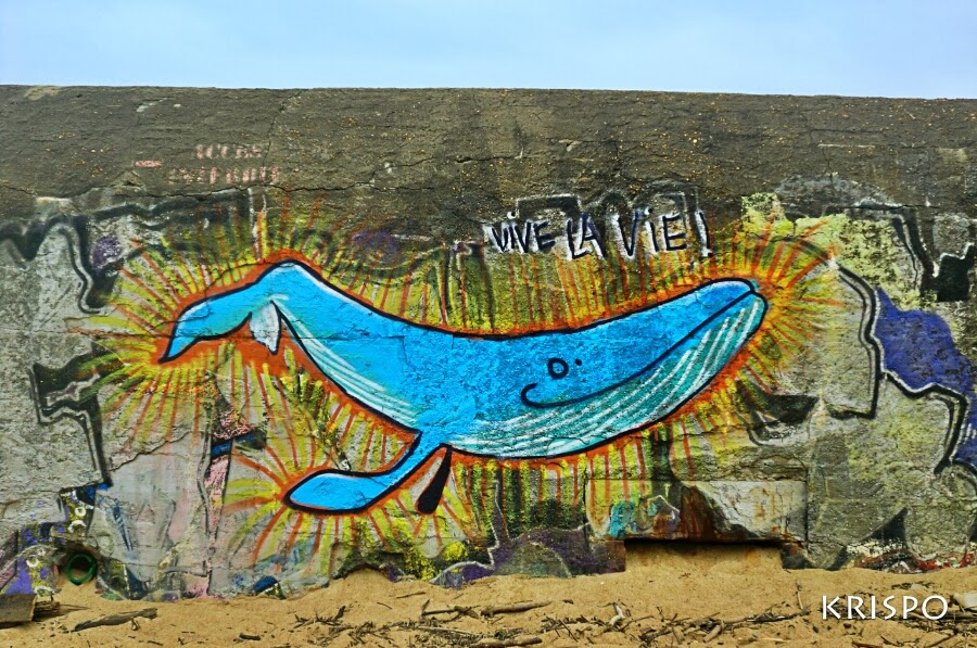 ballena pintada en bunker 