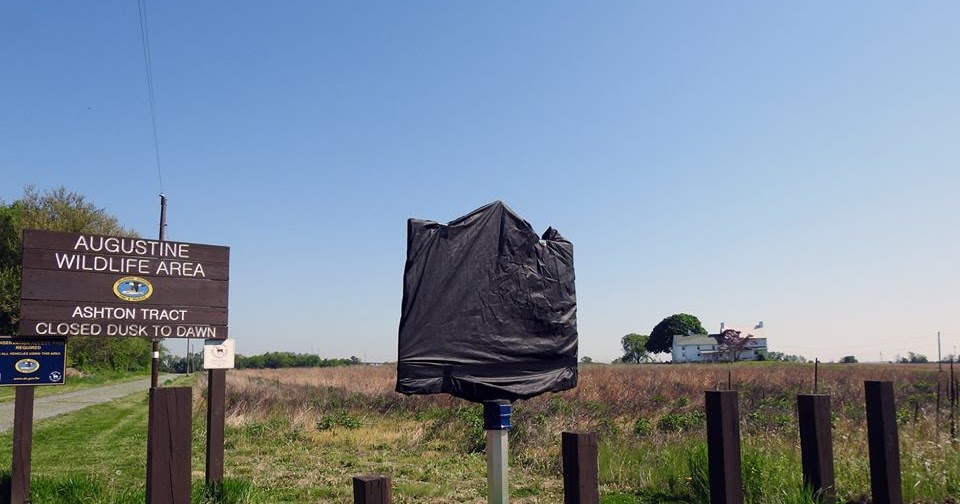 Augustine Wildlife Area Delaware Delaware Way: Ashton Tract Historical Marker Unveiling, 3Pm Tomorrow At The Augustine  Wildlife Area In Port Penn