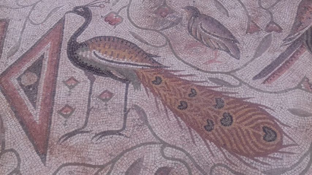 Remains of early Byzantine church, mosaic floors discovered in Syria Remains of early Byzantine church, mosaic floors discovered in Syria
