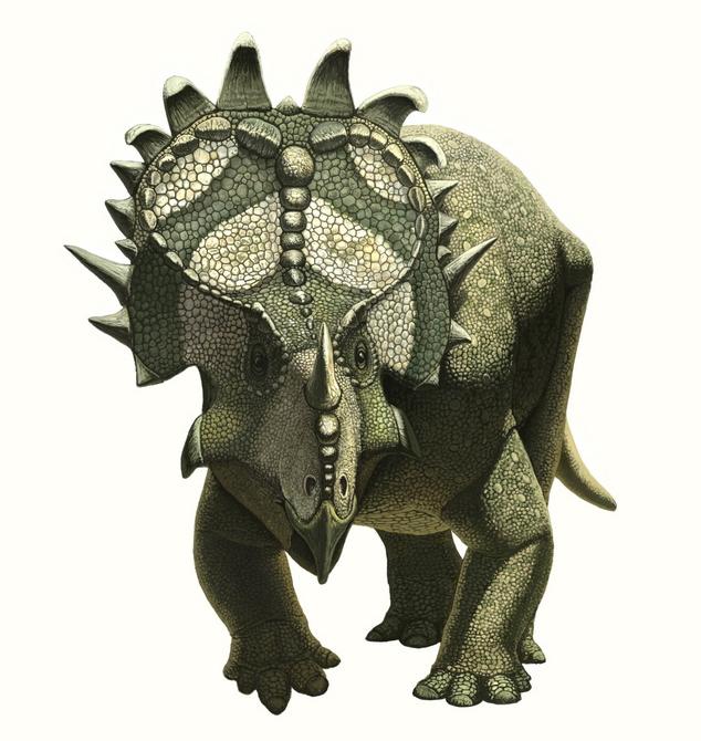 single horned dinosaur