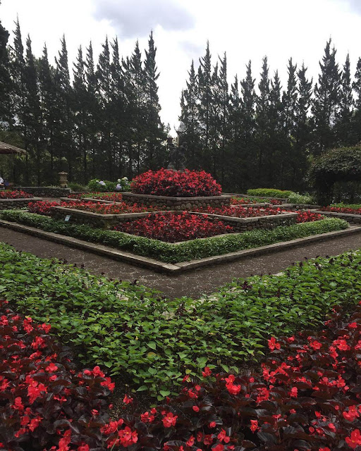 merlimba garden bogor merlimba garden bogor