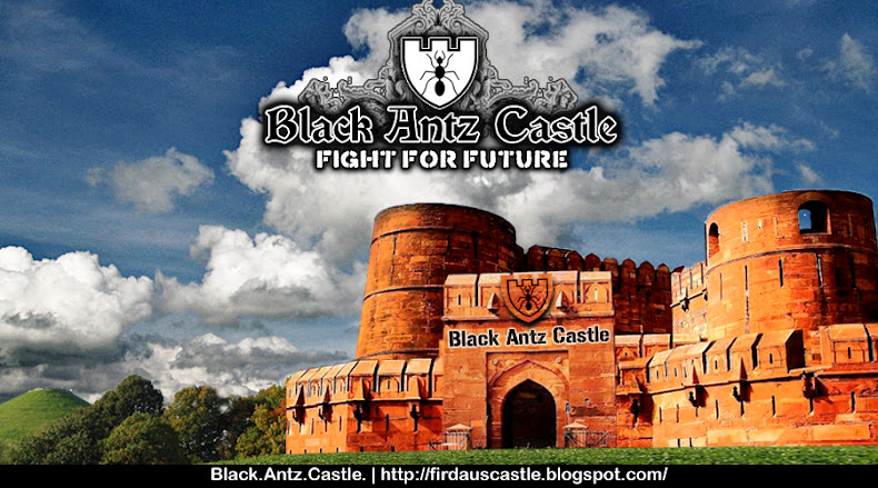 Black Antz Castle