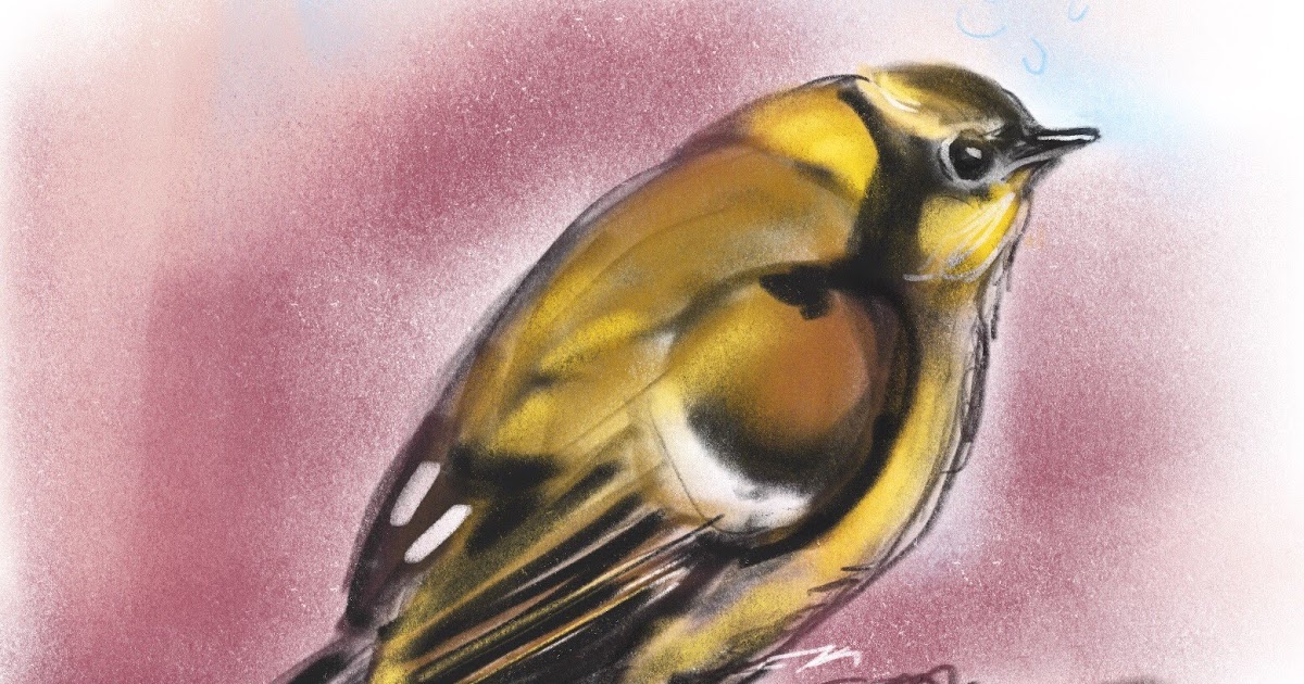 Sketchbook Recovering after a crash landing against a window pane