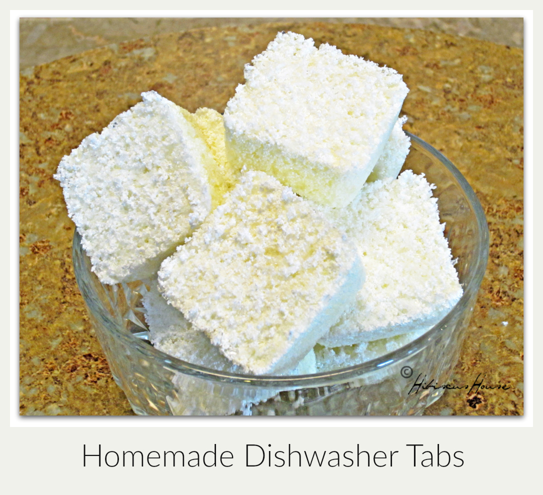 Hibiscus House Homemade Dishwasher Tabs
