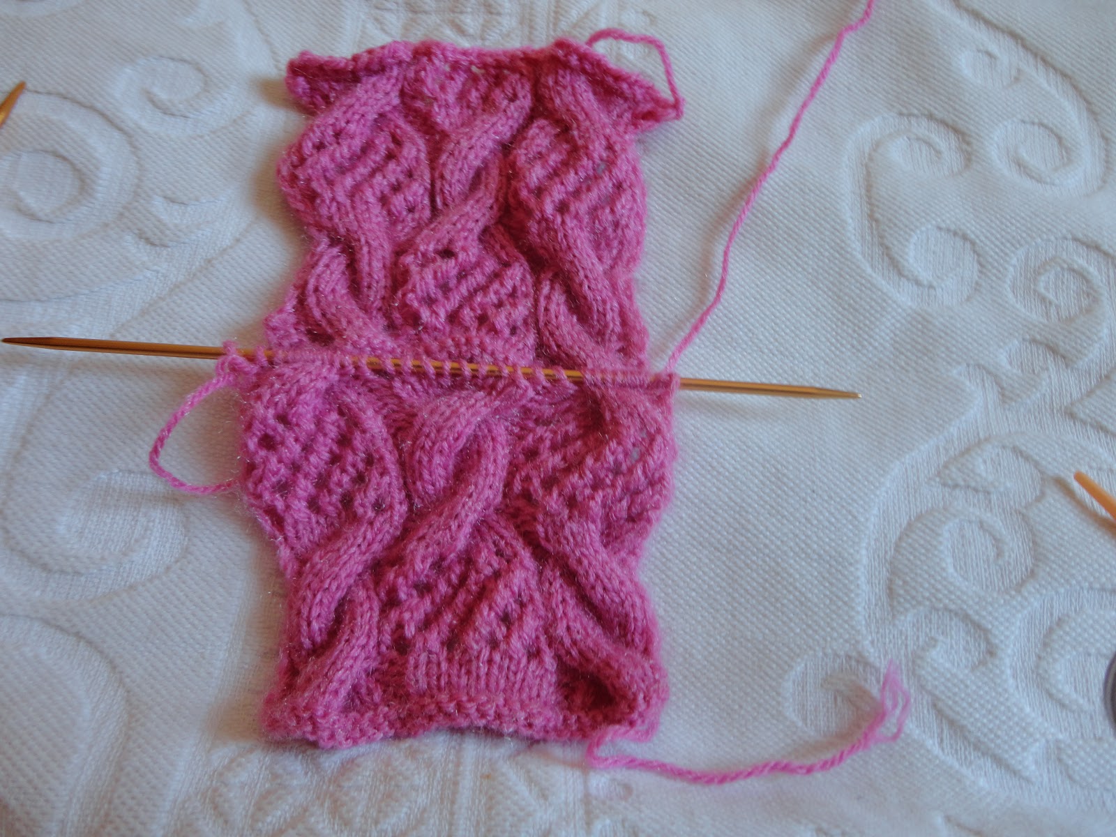 marizamiziara: Amostra de Tricô 2 Ponto Trança Ajurada