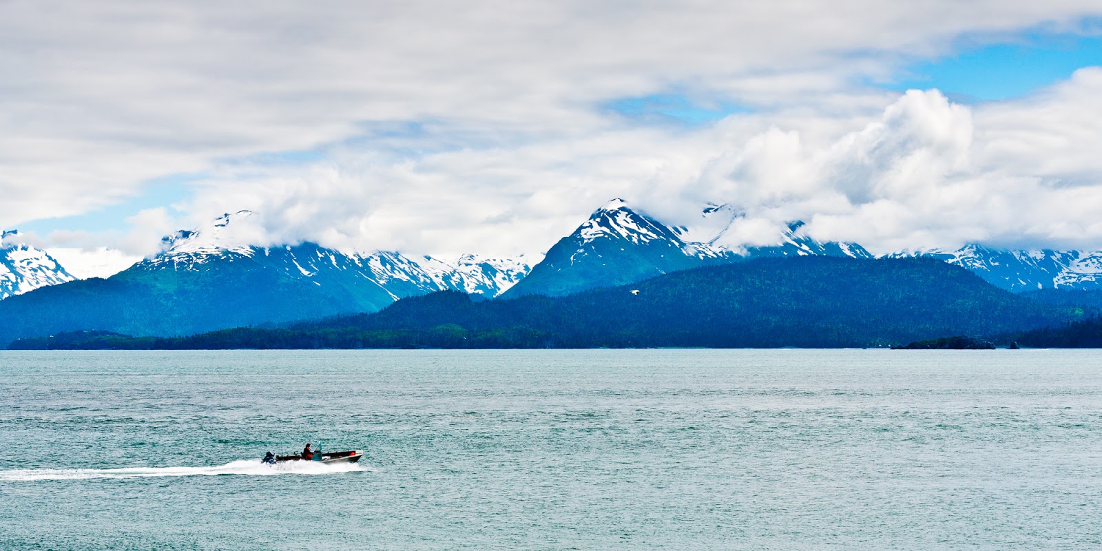 Steve Q Photo Alaska 2010 Day 3 Homer & Anchor Point June 28, 2010