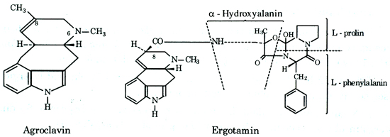 Ecgotamin