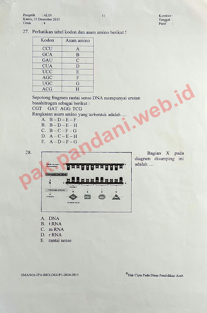 Download Soal USBN Biologi SMA Tahun Pelajaran 2020 2020 Download Soal USBN Biologi SMA Tahun Pelajaran 2020 2020