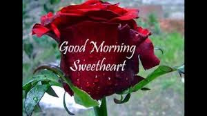 good morning good morning