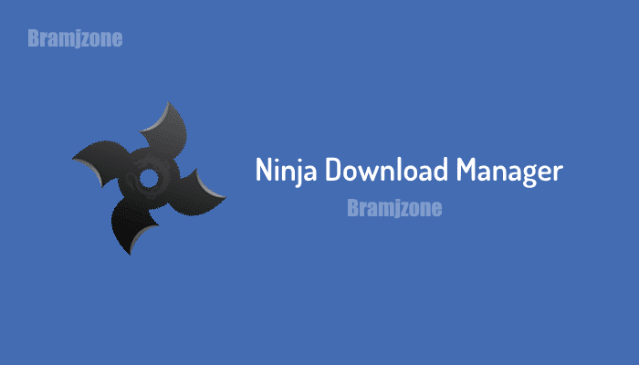 ninja internet download manager build 33