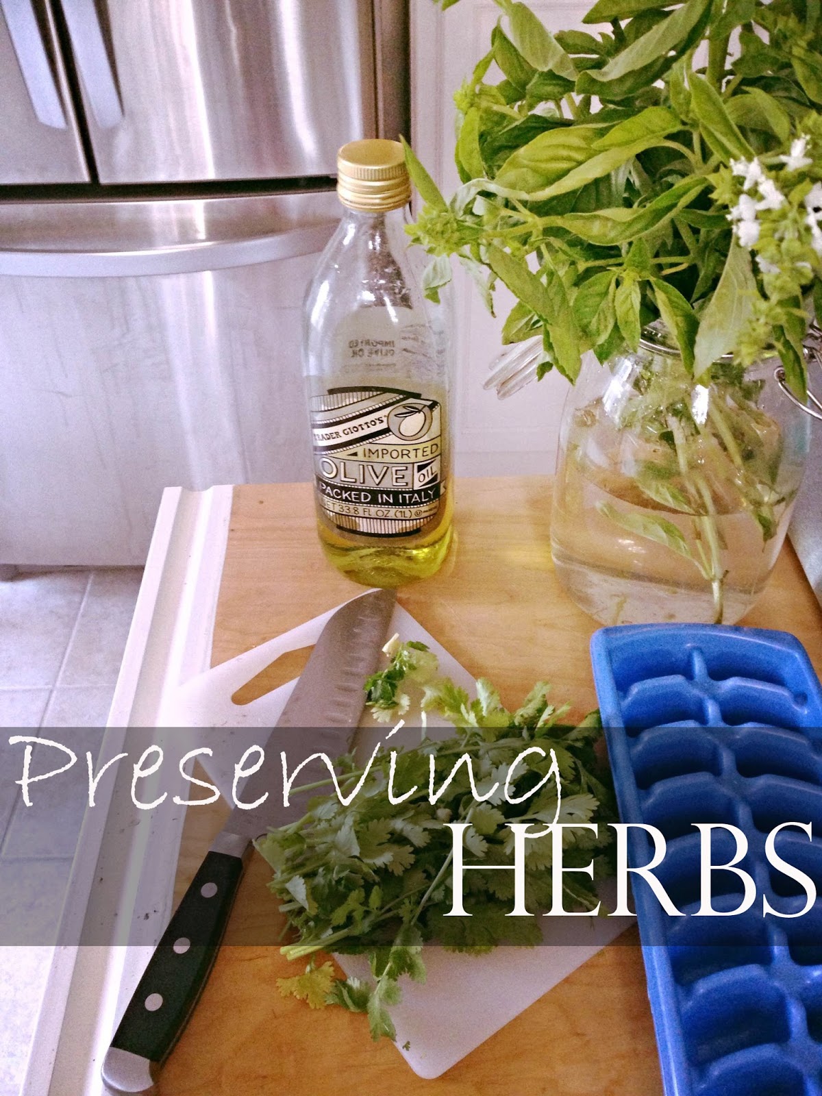 the-blissful-lane-preserving-herbs