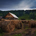 Russia Is Giving Free Land To Any Citizen Who Will Work It