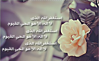 254797_dreambox-sat.com