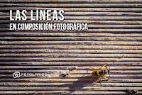 Las líneas en composición Las líneas en composición