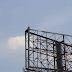 Police Arrest Adamawa Man Who Climbed Billboard Hanger 'Because Of Buhari'