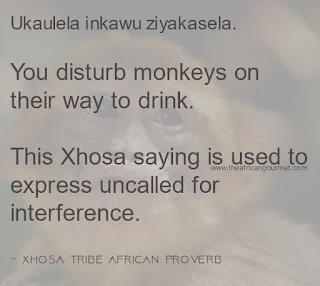 You disturb monkeys on their way to drink.