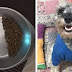 Family Notices Rescue Dog Always Leaves His Bowl Half Full