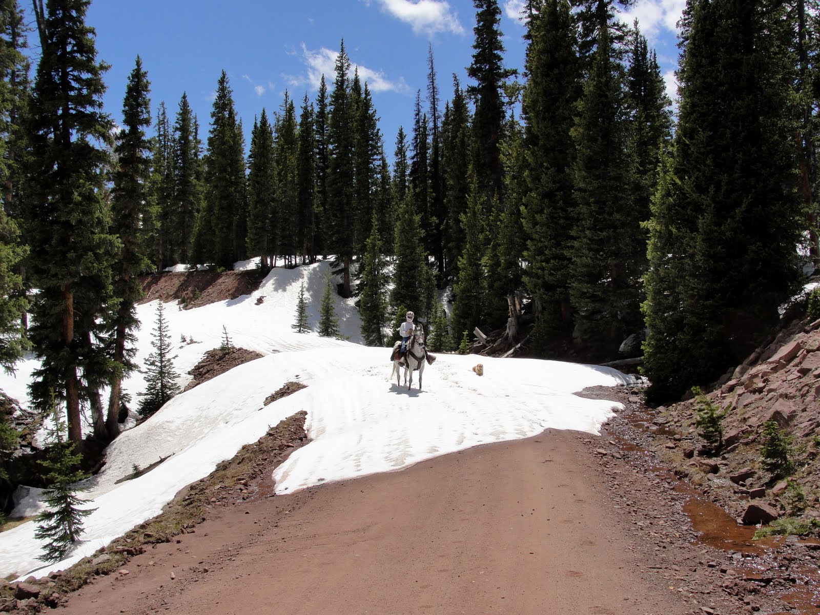 Janie and Steve, Utah Trails Red Cloud Loop