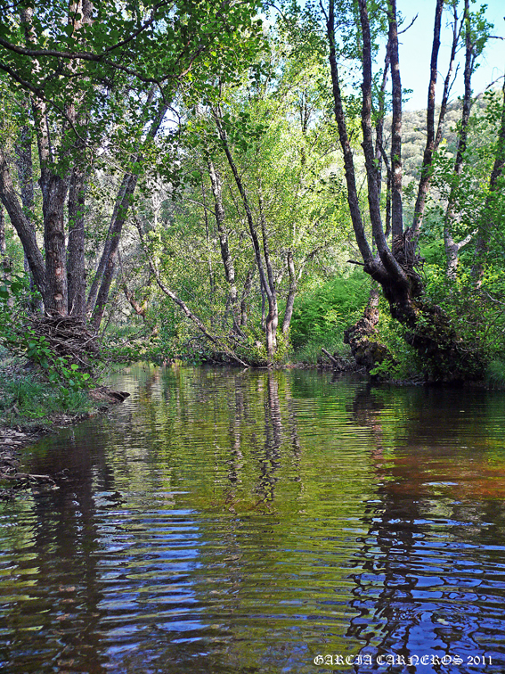 EL ULTIMO HORIZONTE RIO ROBLEDILLO