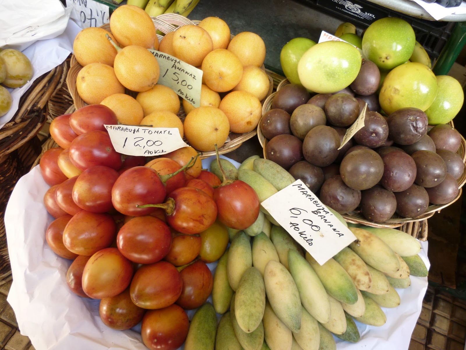 COISO Ilha da Madeira