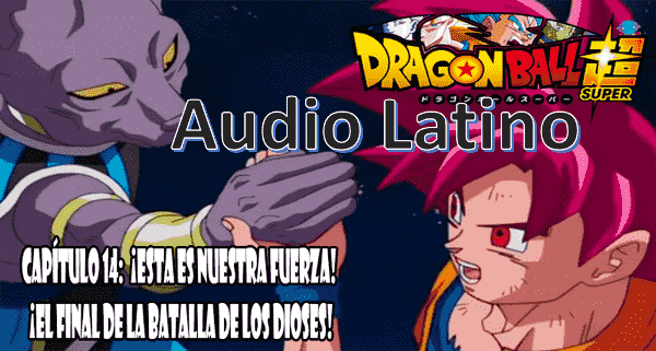Dragon Ball Super Capitulo 14 Ver capitulo 14 online gratis, Goku y el Dios de la Destrucción vuelven a la tierra, luego de un golpe que recibió son Gokú