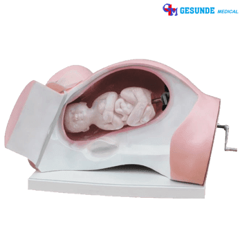 Jual Manikin Training Ibu Melahirkan Normal Manikin Training Ibu Melahirkan Normal
