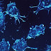 Israeli Scientists Claim They Have Found The Cure For Cancer