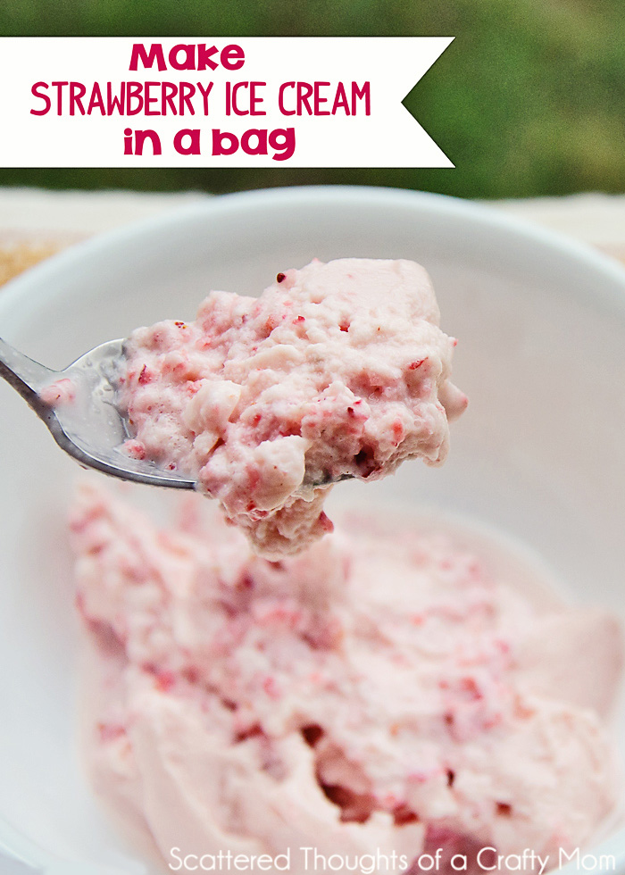 DIY Project for the Kids: Make Homemade Strawberry Ice Cream in a Bag!