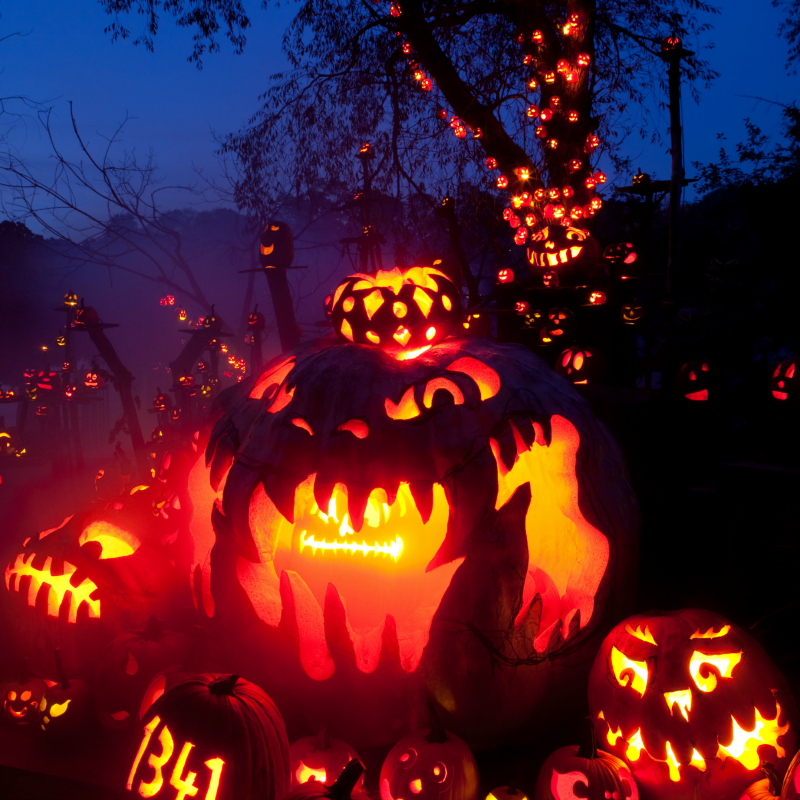 Halloween New England Halloween New England Top Picks for October 25th