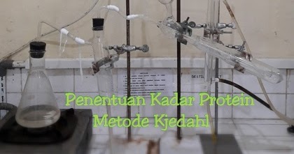 Penentuan Kadar Protein Metode Kjedahl Jagad Kimia
