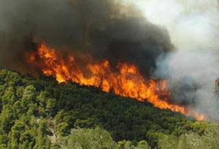 Καίγεται ξανά η Ελλάδα- Πυρκαγιές σε Εύβοια, Λακωνία, Κερατέα και Ζάκυνθο