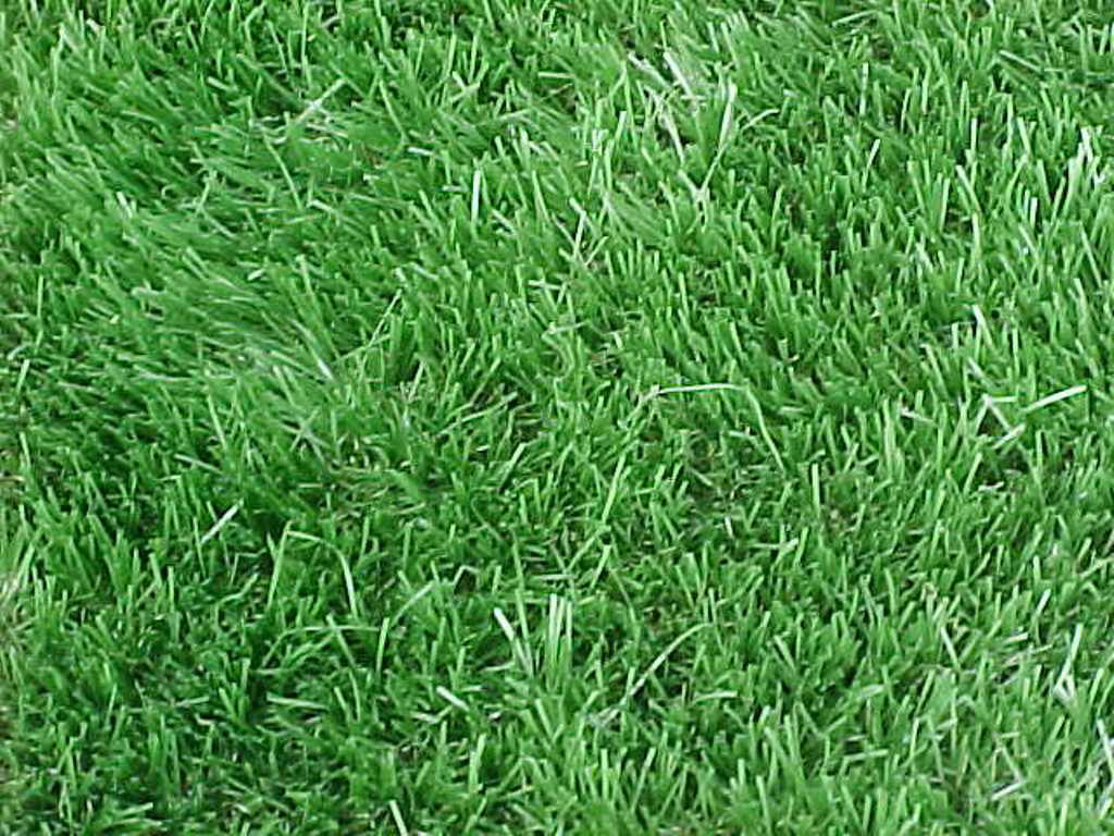 maygunrifanto: Material Render ( Rumput )