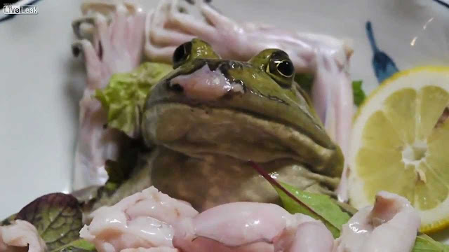 5 Makanan Paling Sadis dan Kejam! Berani Makan? 5 Makanan Paling Sadis dan Kejam! Berani Makan?
