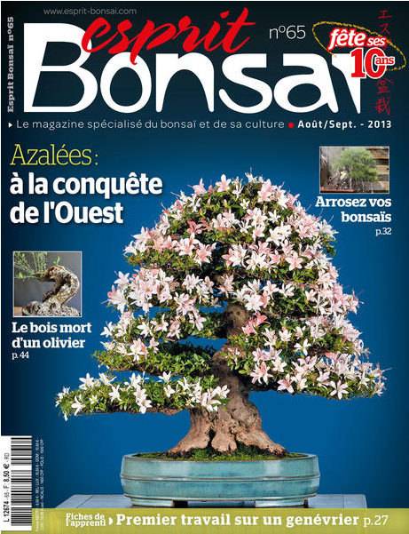 http://www.esprit-bonsai.fr/
